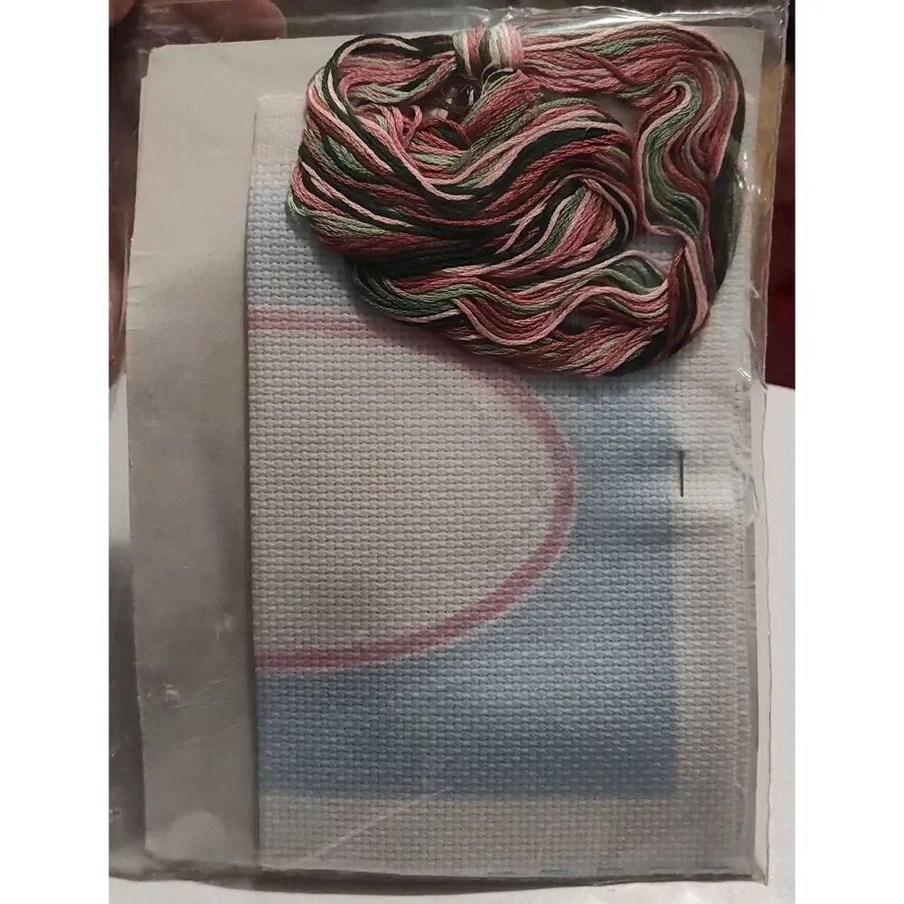 Pink Peonies 50392 Something Special Colored Counted Cross Stitch 5x7